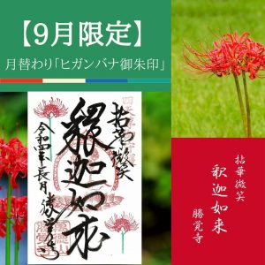 【9月限定】