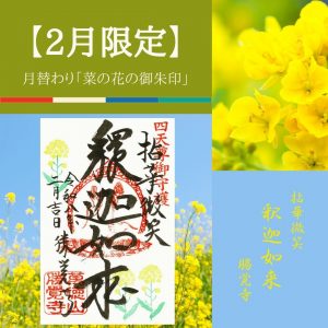 【2026-2月限定】