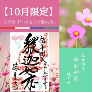 【2024-10月限定】