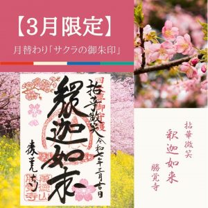 【2025-3月限定】