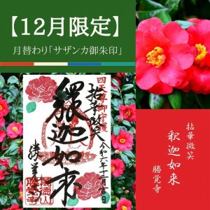 2024-12月限定