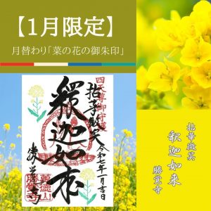 2025-1月限定