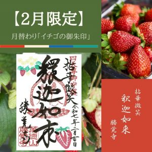 2025-2月限定