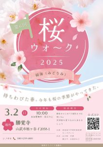 202532(日) 2025桜-02