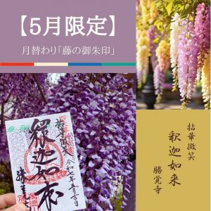 【2025-5月限定】