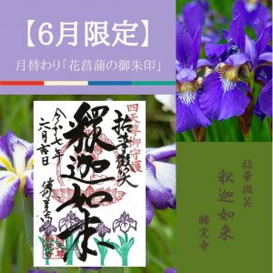 【2025-6月限定】