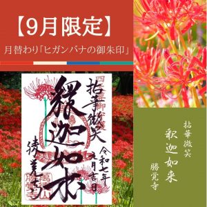 【2025-9月限定】