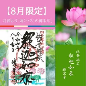 【2025-8月限定】