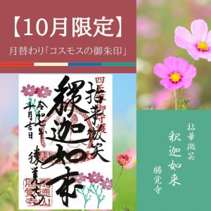 【2025-10月限定】