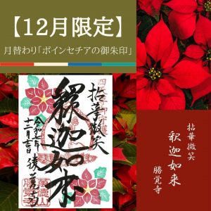 【2025-12月限定】