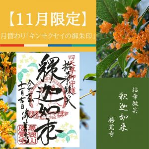 【2025-11月限定】