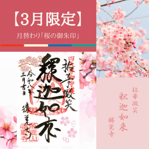 【2026-3月限定】