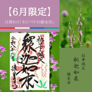 【2026-6月限定】